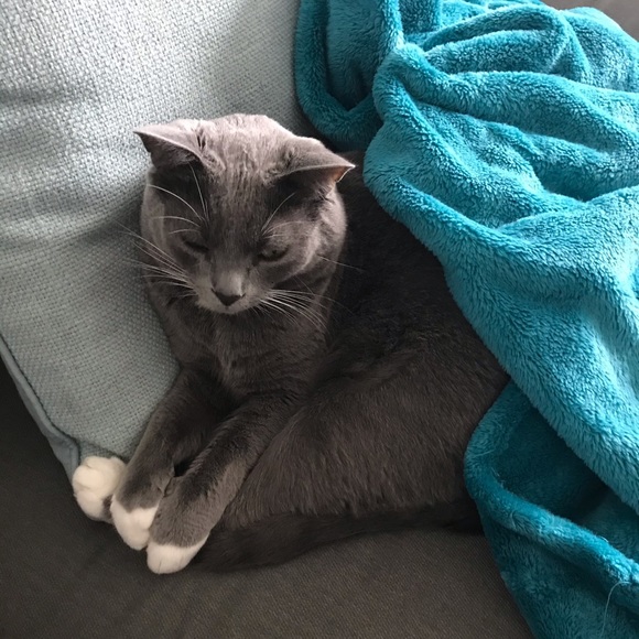 Meet your Posher, Michelle - Picture 1 of 1